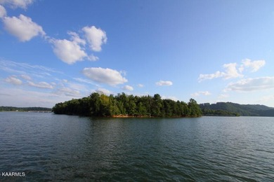 This lot 100 in Windswept on Cherokee Lake will impress with - photo 9
