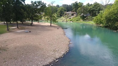 SPRING RIVER: Riverside Resort with approx. 800 ft. of Spring - photo 57