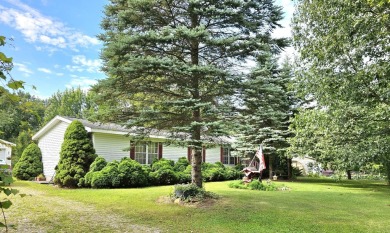 Union Lake - Branch County Home Sale Pending in Union City Michigan
