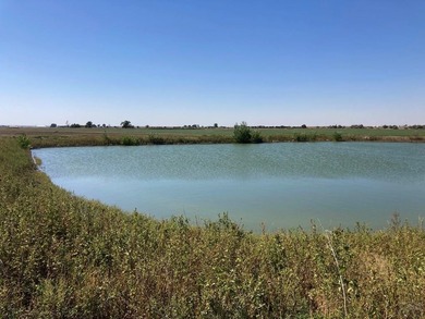 This premium 271+/- -acre irrigated hay and livestock operation - photo 16