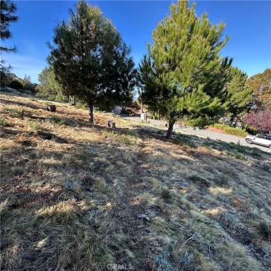 Clear Lake Lot For Sale in Kelseyville California