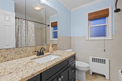 Welcome To This Beautifully Maintained Split Level In Massapequa - photo 26