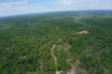 Lake of the Ozarks Acreage For Sale in Roach Missouri