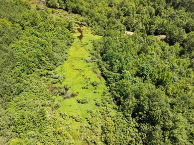 Escape to the peace and privacy of this stunning 29.16-acre - photo 11