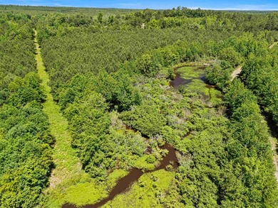 Escape to the peace and privacy of this stunning 29.16-acre - photo 12
