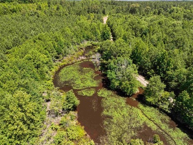 Escape to the peace and privacy of this stunning 29.16-acre - photo 13