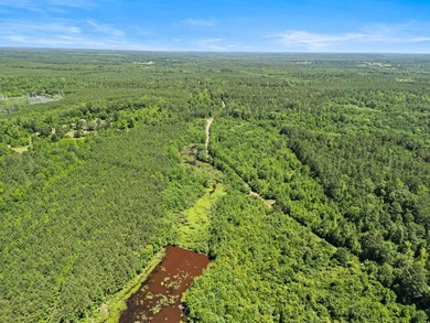 Escape to the peace and privacy of this stunning 29.16-acre - photo 14