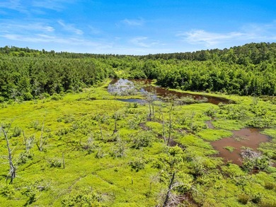 Escape to the peace and privacy of this stunning 29.16-acre - photo 15