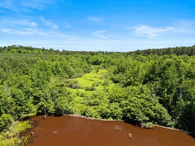 Escape to the peace and privacy of this stunning 29.16-acre - photo 18