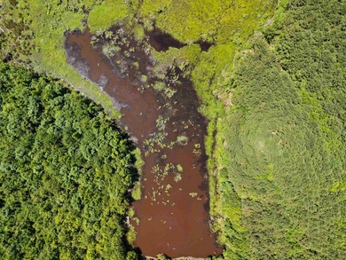 Escape to the peace and privacy of this stunning 29.16-acre - photo 20