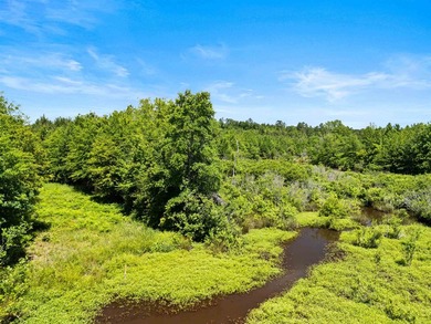 Escape to the peace and privacy of this stunning 29.16-acre - photo 21