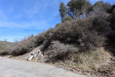 Lake Lot For Sale in Cedar Glen, California
