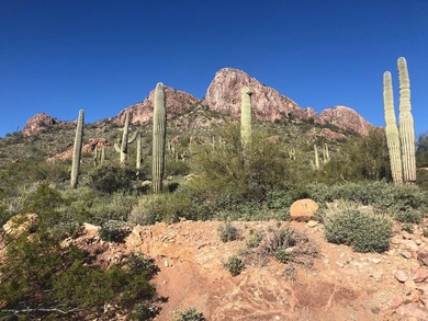 This lot is located on the side of Dinosaur Mountain with - photo 2