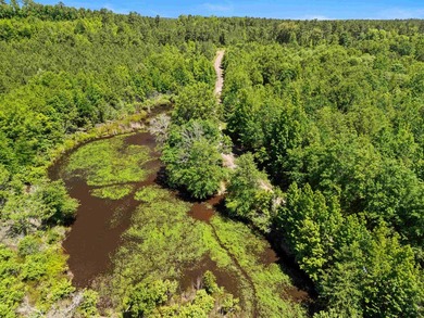 Escape to the peace and privacy of this stunning 29.16-acre - photo 23