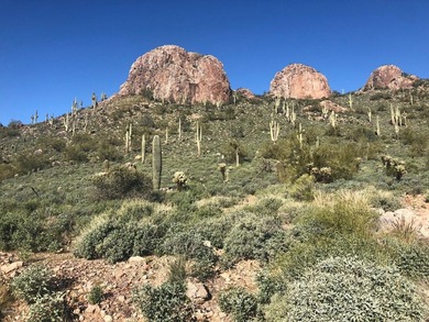 This lot is located on the side of Dinosaur Mountain with - photo 4