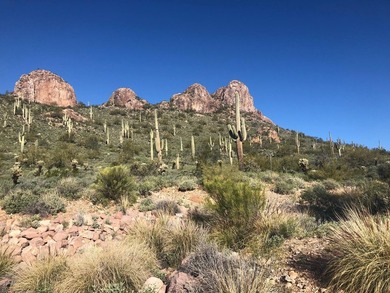 This lot is located on the side of Dinosaur Mountain with - photo 6