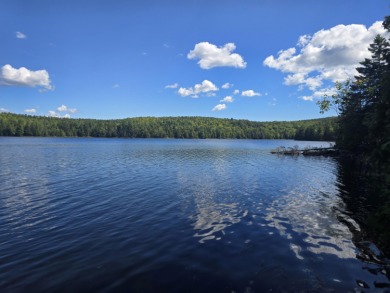Howard Lake Acreage For Sale in Robbinston Maine