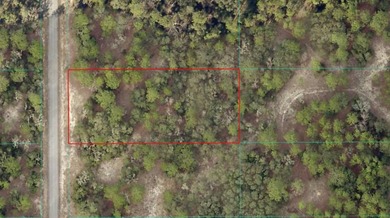Bonable Lake Lot For Sale in Dunnellon Florida