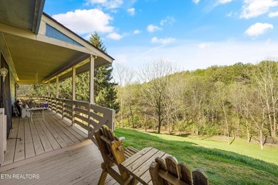This exceptional property truly has it all! Nestled on 5+ acres - photo 9