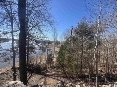 Waterfront lots on Lake Barkley offering approximately 1.63 - photo 2