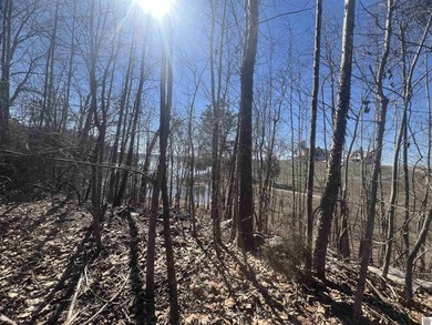 Waterfront lots on Lake Barkley offering approximately 1.63 - photo 5