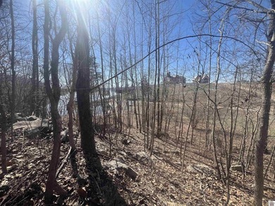 Waterfront lots on Lake Barkley offering approximately 1.63 - photo 6