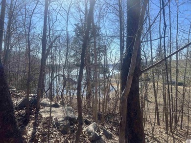 Waterfront lots on Lake Barkley offering approximately 1.63 - photo 7