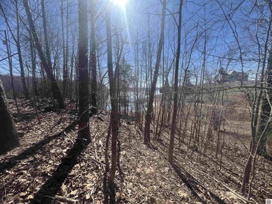 Waterfront lots on Lake Barkley offering approximately 1.63 - photo 8