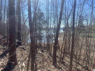 Waterfront lots on Lake Barkley offering approximately 1.63 - photo 9