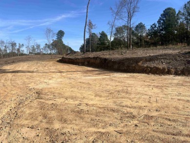 DeGray Lake Acreage For Sale in Bismarck Arkansas