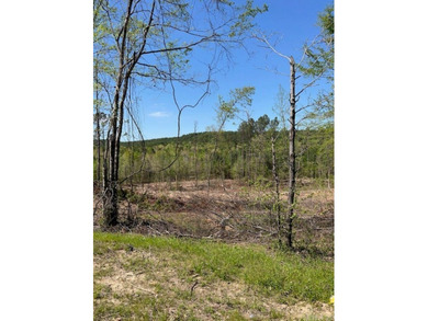 Beautiful Homesite Available! Partially cleared, ridge top views - photo 3