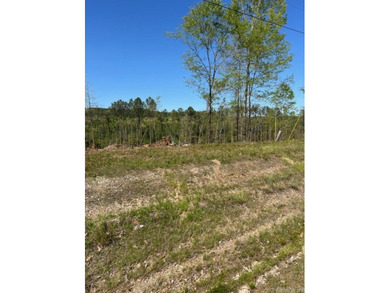Beautiful Homesite Available! Partially cleared, ridge top views - photo 5