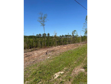Beautiful Homesite Available! Partially cleared, ridge top views - photo 6