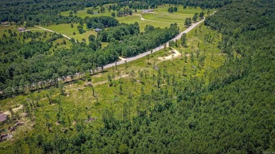 Beautiful Homesite Available! Partially cleared, ridge top views - photo 8