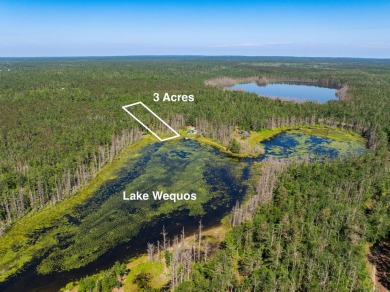 Lake Acreage For Sale in Gaylord, Michigan