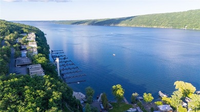 Resort-style living in the Finger Lakes awaits! Life in Bristol - photo 48
