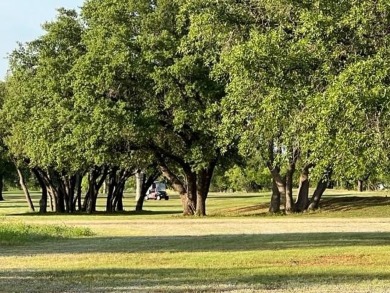 Lake Lot For Sale in Brownwood, Texas