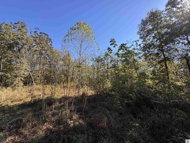 Explore 29.17 acres of beautiful countryside just moments from - photo 2
