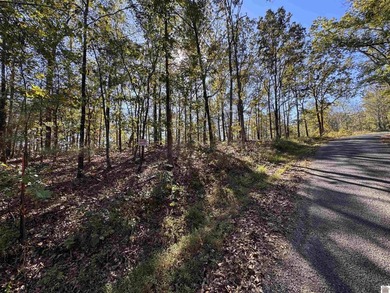 Explore 29.17 acres of beautiful countryside just moments from - photo 5