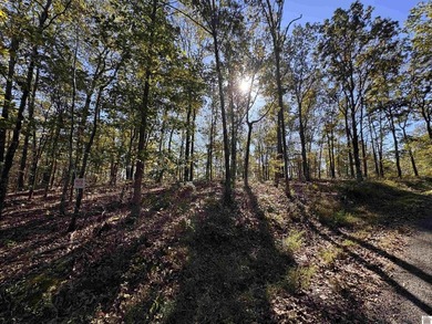 Explore 29.17 acres of beautiful countryside just moments from - photo 6
