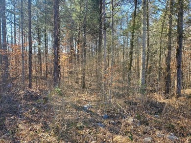 Whispering Winds Lake Acreage Sale Pending in Jamestown Tennessee