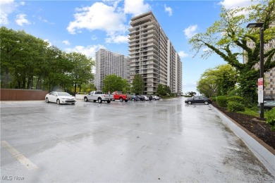 Lake Condo For Sale in Lakewood, Ohio