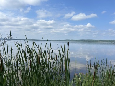 Lake Acreage For Sale in Hillman, Michigan