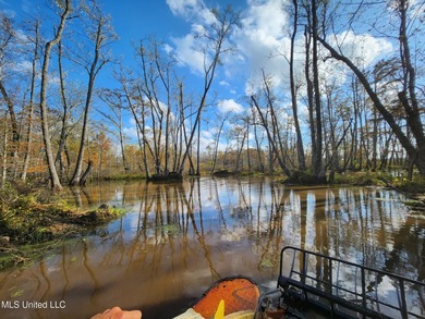 (private lake, pond, coastal) Acreage For Sale in Tchula Mississippi