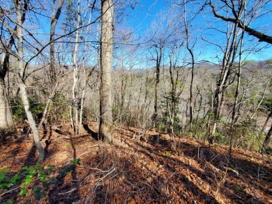 Tuckaseegee River Acreage For Sale in Sylva North Carolina