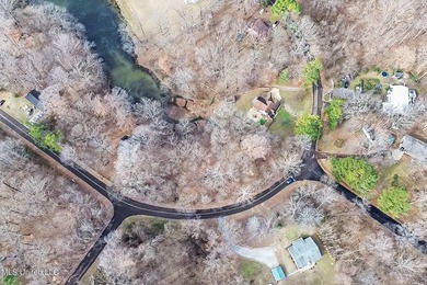 (private lake, pond, coastal) Lot For Sale in Hernando Mississippi