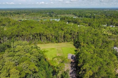(private lake, pond, creek) Acreage Sale Pending in Geneva Florida