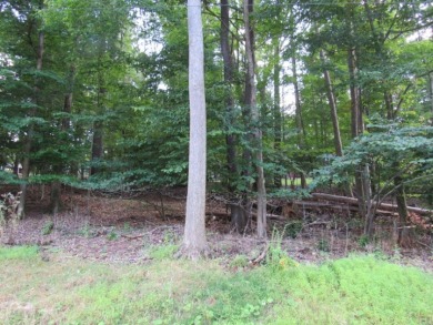 LAKE VIEW LOT RESONABLY PRICED - Lake Lot For Sale in Du Bois, Pennsylvania
