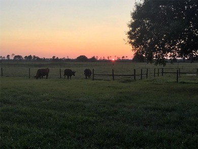 Discover this rare opportunity to own 20.49 pristine acres - photo 11