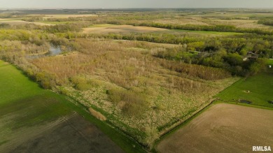 Lake Acreage For Sale in Edinburg, Illinois